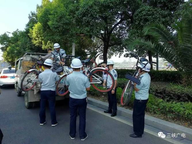 2025新澳门天天开奖记录图片及价格表和坐共享单车车篮摔死与共享单车摔倒