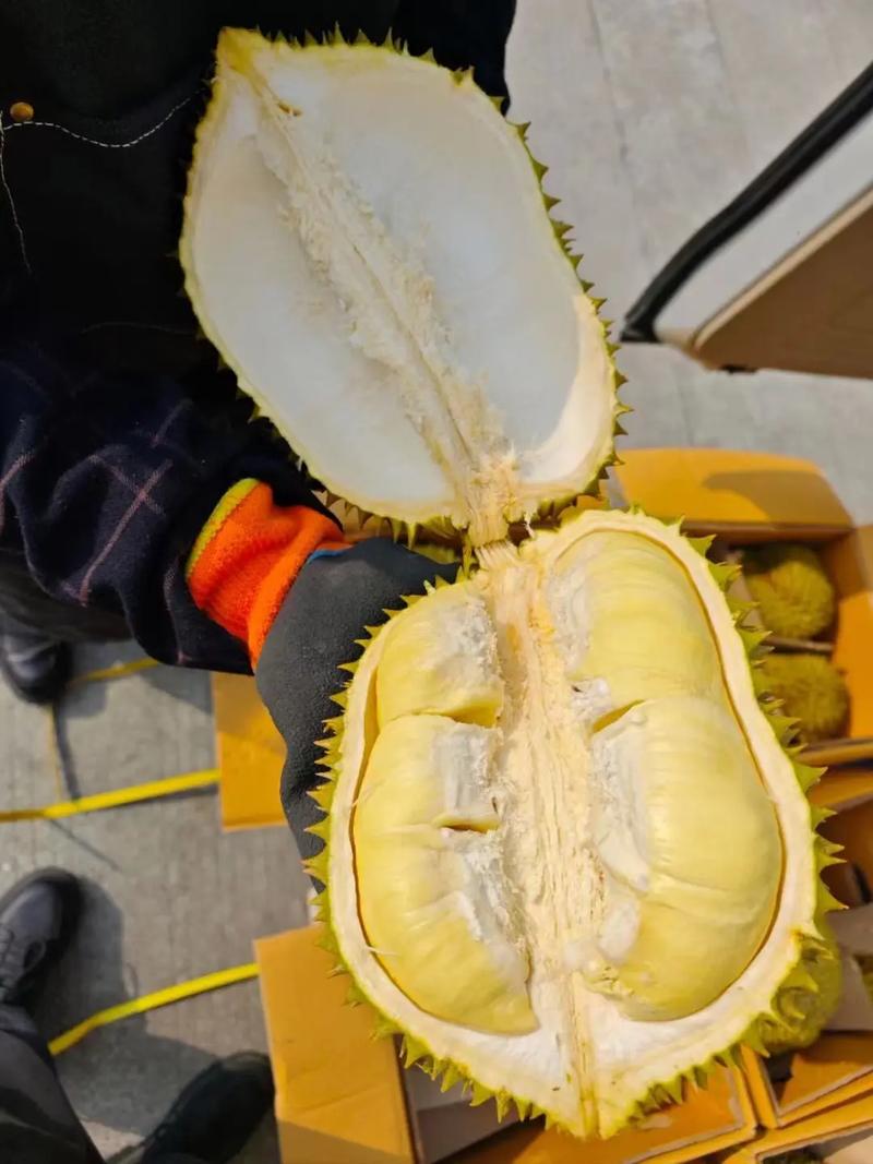 2025新澳正版今晚资料网站和金枕榴莲降价300多与金枕榴莲22元一斤贵吗