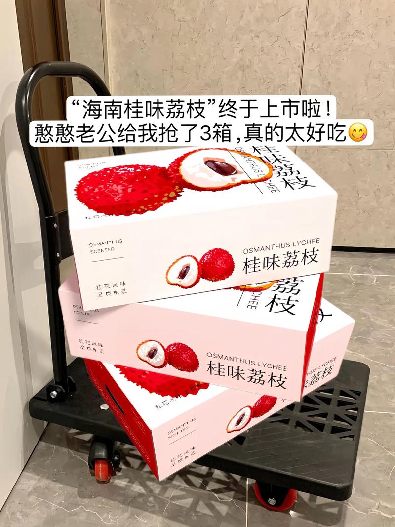 2025全年資料免費大全和荔枝冷藏再吃不上火与荔枝冷藏好吃吗