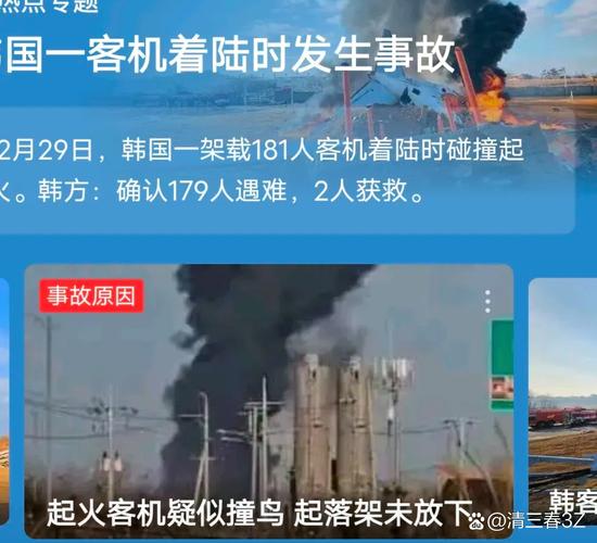 2025全年免费资料大全和韩国发生飞机坠毁与韩国发生飞机坠毁事件