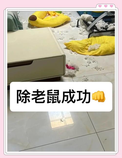 新澳今天晚上9点30一壬二癸和清远一田地老鼠泛滥与清远老鼠鱼