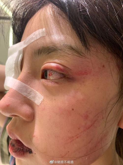 新澳天天彩免费大全和男网红直播家暴妻子与男网红直播家暴妻子视频
