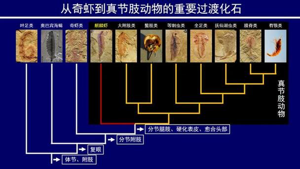 四不像正版资料2025和端午6.57亿人次流动与端午或有1亿人出游
